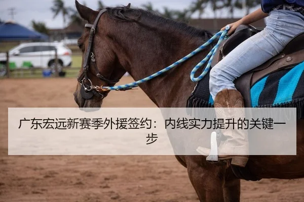 广东宏远新赛季外援签约：内线实力提升的关键一步
